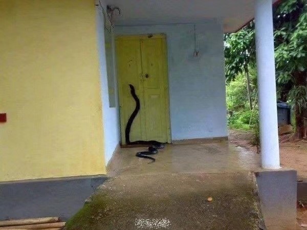 Python入门